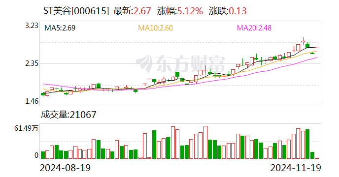 ST美谷收监管函：财务信息披露不准确致多项财务指标追溯调整